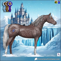 Horse Color:Chocolate Silver Black Chinchilla Tobiano