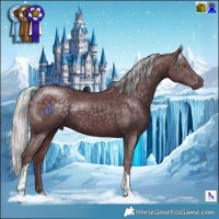 Horse Color:Chocolate Silver Black Chinchilla Tobiano