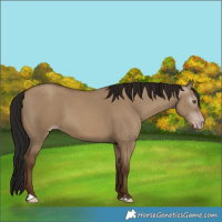 Horse Color:Gray Classic Champagne Dun 