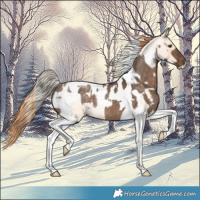 Horse Color:Silver Brown Dun Tobiano Rabicano  and Amber Champagne Roan Pearl Dun Tobiano Rabicano 