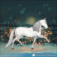 Horse Color:Silver Amber Champagne Pearl Dun Tobiano Frame Appaloosa Rabicano  and Silver Amber Champagne Pearl Dun Tobiano Frame Appaloosa Rabicano 