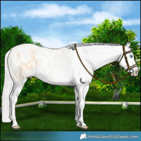 Horse Color:Silver Amber Champagne Pearl Dun Tobiano Blanket Rabicano  and Silver Amber Champagne Pearl Dun Tobiano Blanket Rabicano 