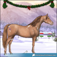 Horse Color:White Spotted Gold Champagne 