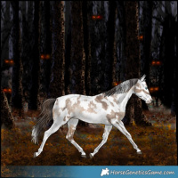 Horse Color:Chocolate Bay Pearl Dun Sabino Tobiano Varnish Rabicano Brindle  and Silver Amber Champagne Pearl Dun Tobiano Varnish Rabicano 