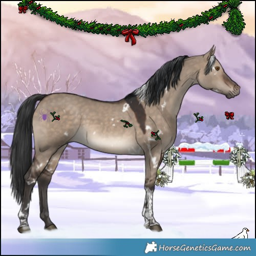 Horse Color:White Spotted Brown Dun Tobiano 