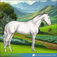 Horse Color:Silver Amber Champagne Pearl Dun Tobiano Appaloosa Rabicano  and Silver Amber Champagne Pearl Dun Tobiano Appaloosa Rabicano 
