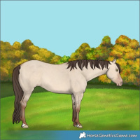 Horse Color:Amber Champagne Dun 