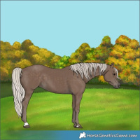 Horse Color:Silver Black 
