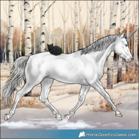 Horse Color:Silver Amber Champagne Pearl Dun Tobiano Near Leopard Rabicano  and Silver Amber Champagne Pearl Dun Tobiano Near Fewspot Rabicano 