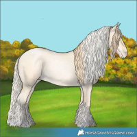 Horse Color:Buckskin Roan Pearl  and Palomino Roan Pearl 
