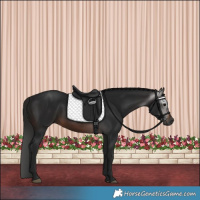 Horse Color:Gray Brown 