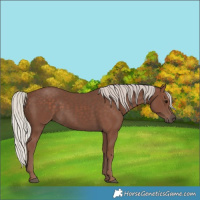 Horse Color:Silver Black 