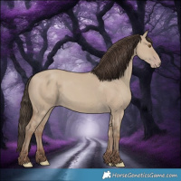 Horse Color:Classic Champagne Dun 