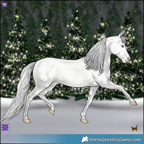 Horse Color:Silver Amber Champagne Pearl Dun Tobiano Appaloosa Rabicano and Silver Amber Champagne Pearl Dun Splash Tobiano Appaloosa Rabicano