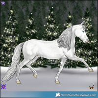 Horse Color:Silver Amber Champagne Pearl Dun Tobiano Appaloosa Rabicano  and Silver Amber Champagne Pearl Dun Splash Tobiano Appaloosa Rabicano 