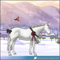 Horse Color:Silver Amber Champagne Pearl Dun Tobiano Blanket Rabicano  and Silver Amber Champagne Pearl Dun Tobiano Blanket Rabicano 
