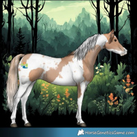 Horse Color:Black Pearl Tobiano Rabicano  and Bay Pearl Splash Tobiano Rabicano 