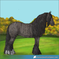 Horse Color:Smoky Black  and Smoky Grullo 