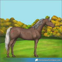 Horse Color:Silver Black 