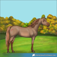 Horse Color:Red Dun 