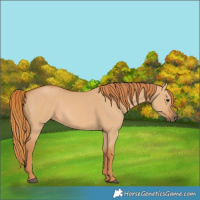 Horse Color:Red Dun 