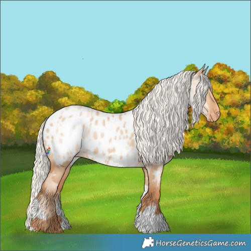 Horse Color:Silver Amber Champagne Pearl Dun Tobiano Appaloosa Rabicano and Silver Bay Pearl Dun Tobiano Appaloosa Rabicano
