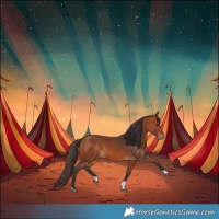 Horse Color:Bay Tobiano 