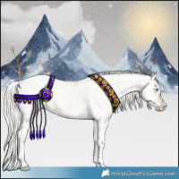Horse Color:Silver Amber Champagne Pearl Dun Tobiano Appaloosa Rabicano  and Silver Amber Champagne Pearl Dun Tobiano Appaloosa Rabicano 
