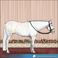 Horse Color:Silver Amber Champagne Pearl Dun Tobiano Blanket Rabicano and Silver Amber Champagne Pearl Dun Tobiano Blanket Rabicano