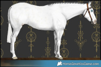 Horse Color:Silver Amber Champagne Pearl Dun Tobiano Blanket Rabicano  and Silver Amber Champagne Pearl Dun Tobiano Blanket Rabicano 