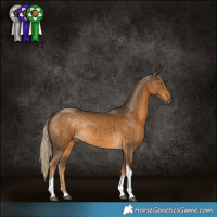Horse Color:Chocolate Palomino Tobiano Rabicano