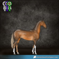 Horse Color:Chocolate Palomino Tobiano Rabicano