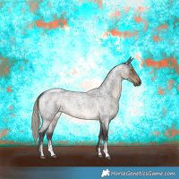 Horse Color:Silver Smoky Blue Roan Sabino Rabicano 