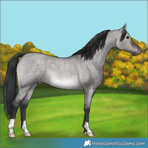 Horse Color:Platinum Brown Roan Dun 