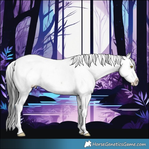 Horse Color:Liver Red Dun Sabino Appaloosa 