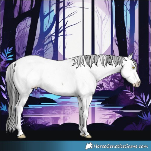 Horse Color:Liver Red Dun Sabino Appaloosa