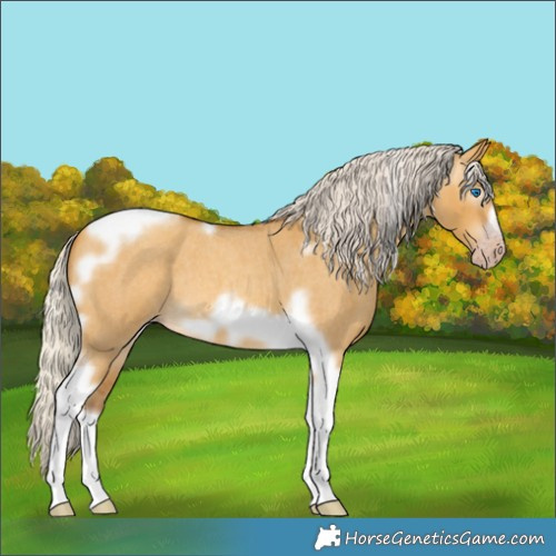 Horse Color:Gray Silver Amber Cream Champagne Roan Dun Splash Tobiano Frame Appaloosa Rabicano