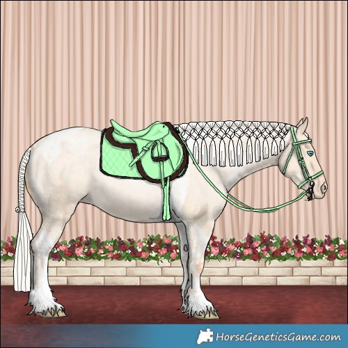 Horse Color:Silver Amber Champagne Pearl Dun Tobiano Appaloosa Rabicano  and Silver Amber Champagne Pearl Dun Tobiano Appaloosa Rabicano 