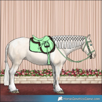 Horse Color:Silver Amber Champagne Pearl Dun Tobiano Appaloosa Rabicano and Silver Amber Champagne Pearl Dun Tobiano Appaloosa Rabicano