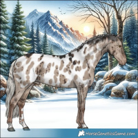 Horse Color:Liver Red Dun Mushroom Appaloosa Brindle