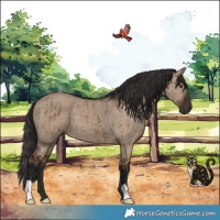 Horse Color:Liver Red Dun Brindle 