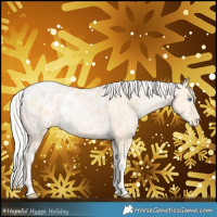Horse Color:Silver Amber Champagne Pearl Dun Tobiano Appaloosa Rabicano and Silver Amber Cream Champagne Pearl Dun Tobiano Appaloosa Rabicano