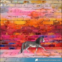 Horse Color:Brown Sabino Splash 