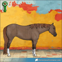 Horse Color:Liver Red Dun Brindle 