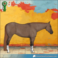 Horse Color:Liver Red Dun Brindle 