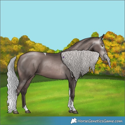 Horse Color:Gray Platinum Silver Brown Pearl Sabino Tobiano 