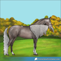 Horse Color:Gray Platinum Silver Brown Pearl Sabino Tobiano 