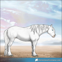 Horse Color:Silver Amber Champagne Pearl Dun Tobiano Appaloosa Rabicano  and Silver Amber Champagne Pearl Dun Tobiano Frame Appaloosa Rabicano 