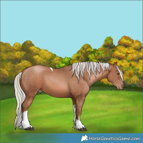Horse Color:Silver Brown Pearl Tobiano 