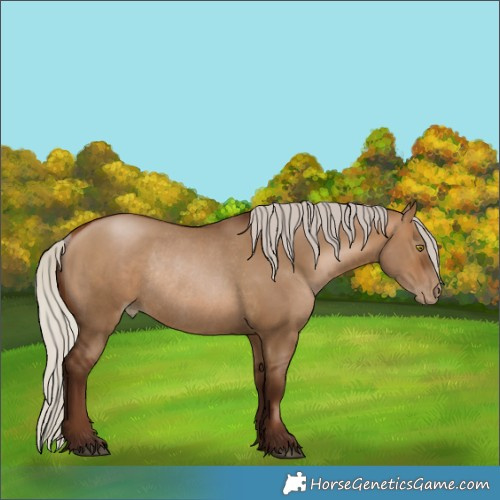Horse Color:Gray Silver Bay Pearl Dun Rabicano 